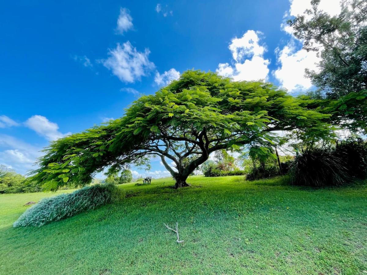 منزل الضيف كينغسكليف  في Tropical Coast Retreat - Pet Friendly - Adult Only المظهر الخارجي الصورة