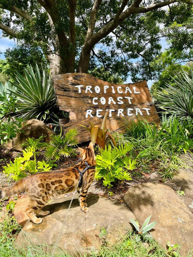 منزل الضيف كينغسكليف  في Tropical Coast Retreat - Pet Friendly - Adult Only المظهر الخارجي الصورة
