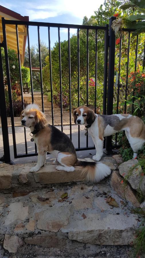 منزل الضيف كينغسكليف  في Tropical Coast Retreat - Pet Friendly - Adult Only المظهر الخارجي الصورة