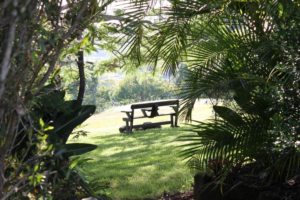 منزل الضيف كينغسكليف  في Tropical Coast Retreat - Pet Friendly - Adult Only المظهر الخارجي الصورة