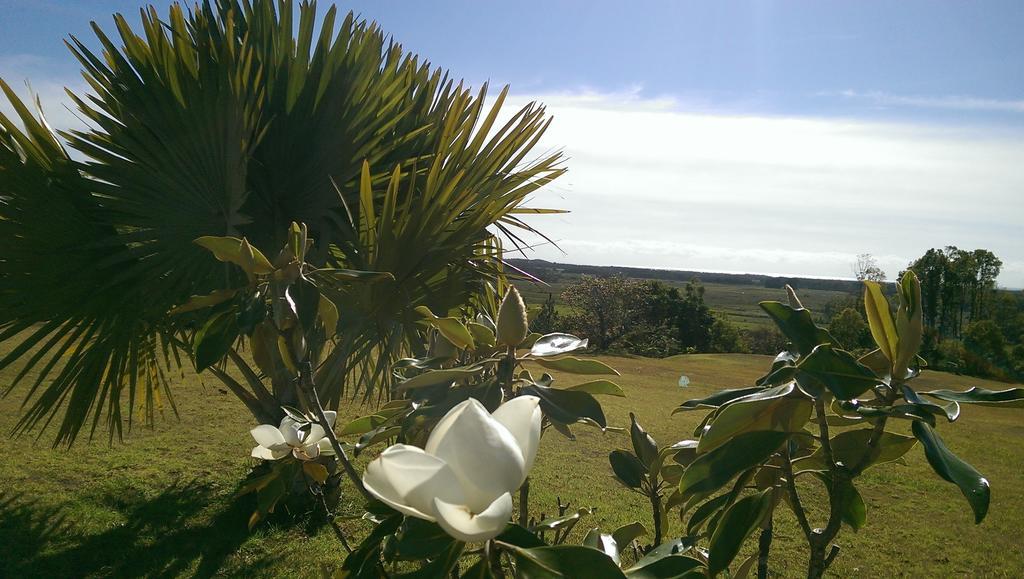 منزل الضيف كينغسكليف  في Tropical Coast Retreat - Pet Friendly - Adult Only المظهر الخارجي الصورة